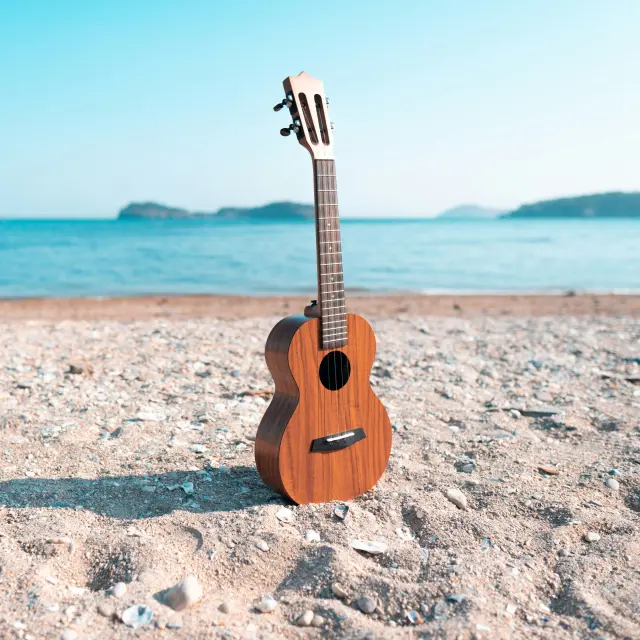 Acoustic é nous