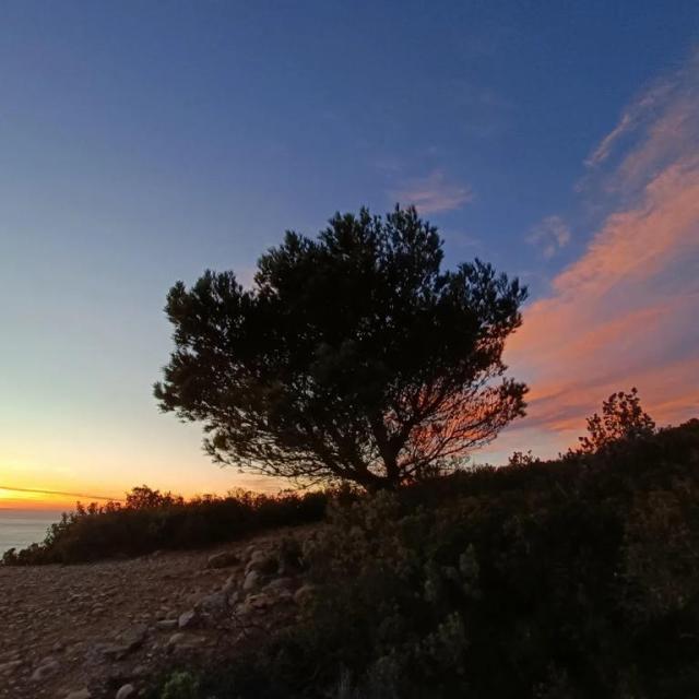 Instagram #destinationlaciotat
