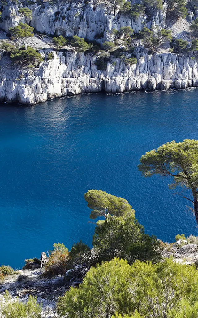 Azioni Dipartimento Bouches Du Rhone