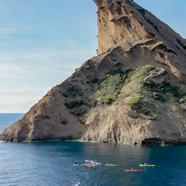 Explorer Les Calanques En Kayak