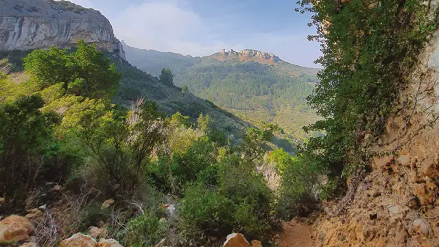 Ruta circular 394: La Ciotat