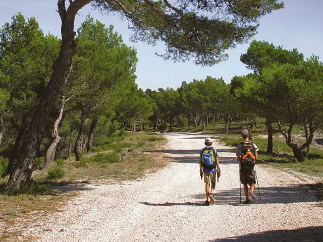 Entdeckungswanderung von Fontblanche nach La Ciotat