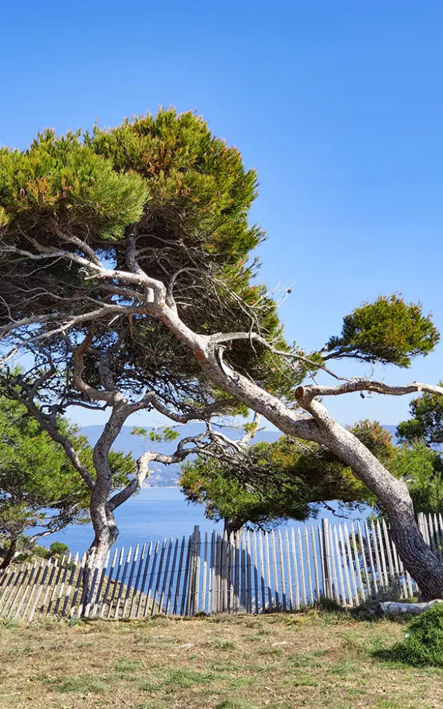 Ile Verte, La Ciotat 2