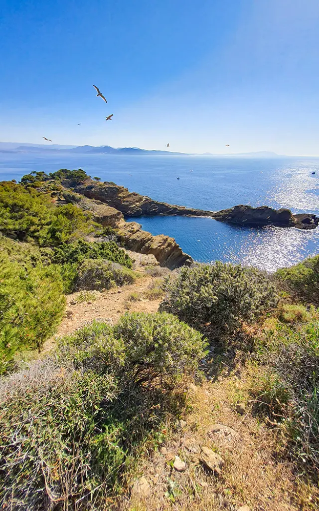 Ile Verte, La Ciotat 3