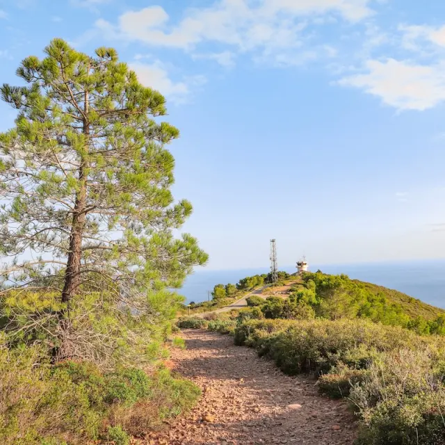 Route Des Cretes, La Ciotat 2