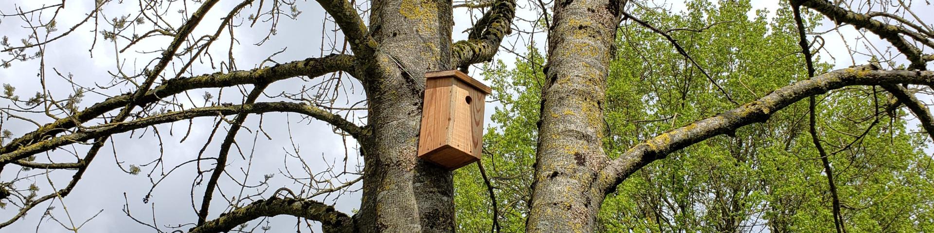 Insatlleelisa Merimee 3 Rotated nesting box