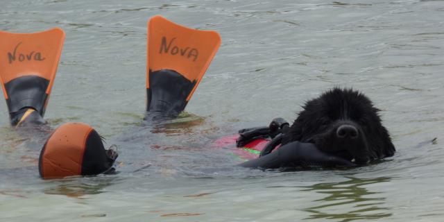Pacific Terres Neuves 2 1