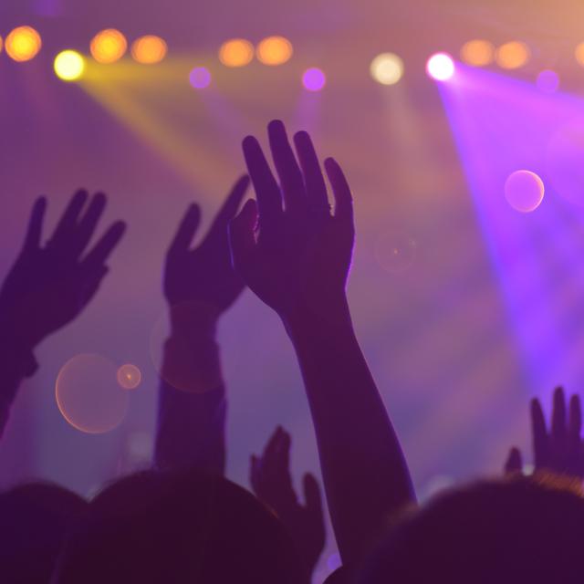 Image Libre De Droit Concert