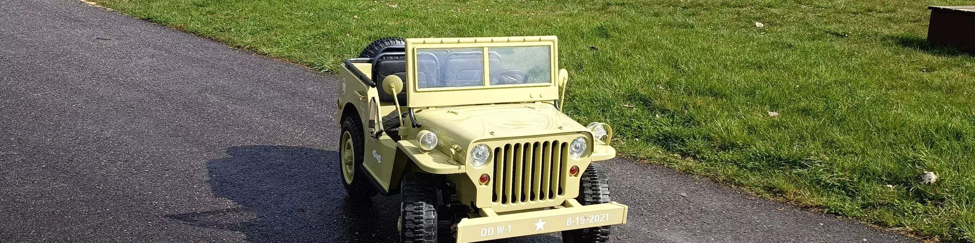 Electric Cart 6