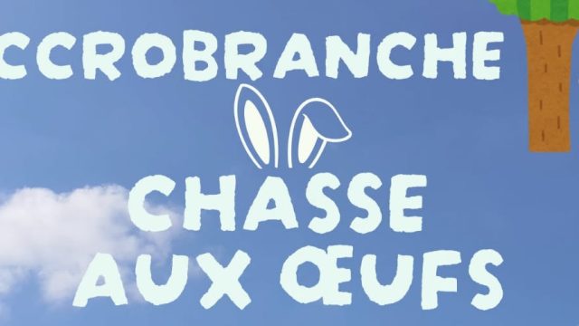 Chasse Aux Oeufs Accrobranches Visuels Arbresteaventures