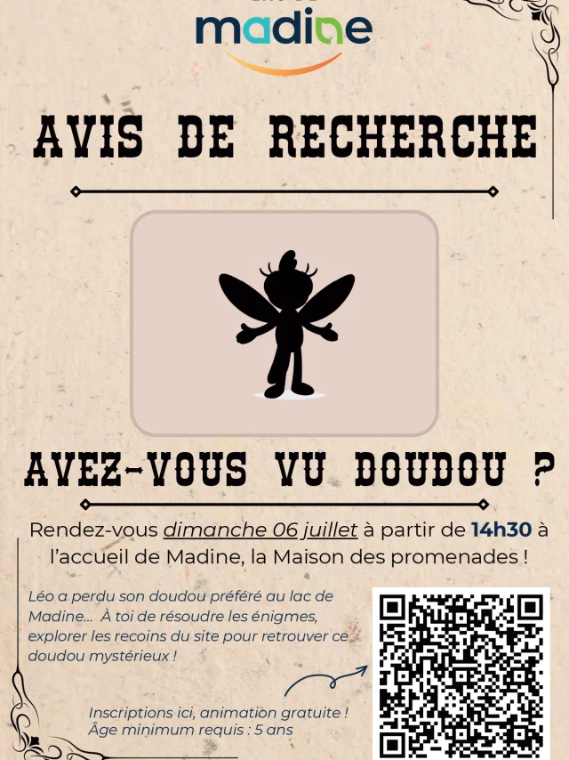 Affiche Jeu De Piste Page 0001 1