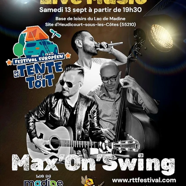 Max'On Swing