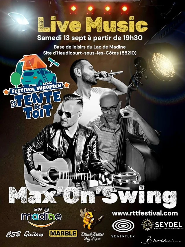 Max'On Swing