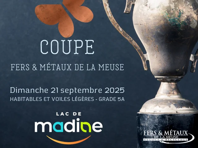 Fers Et Metaux