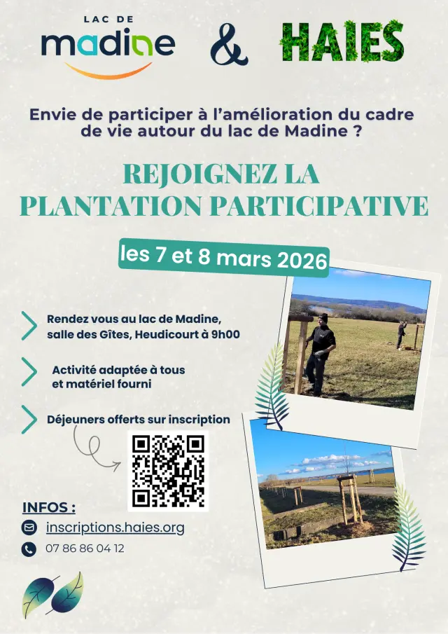 Projet De Plantation 1
