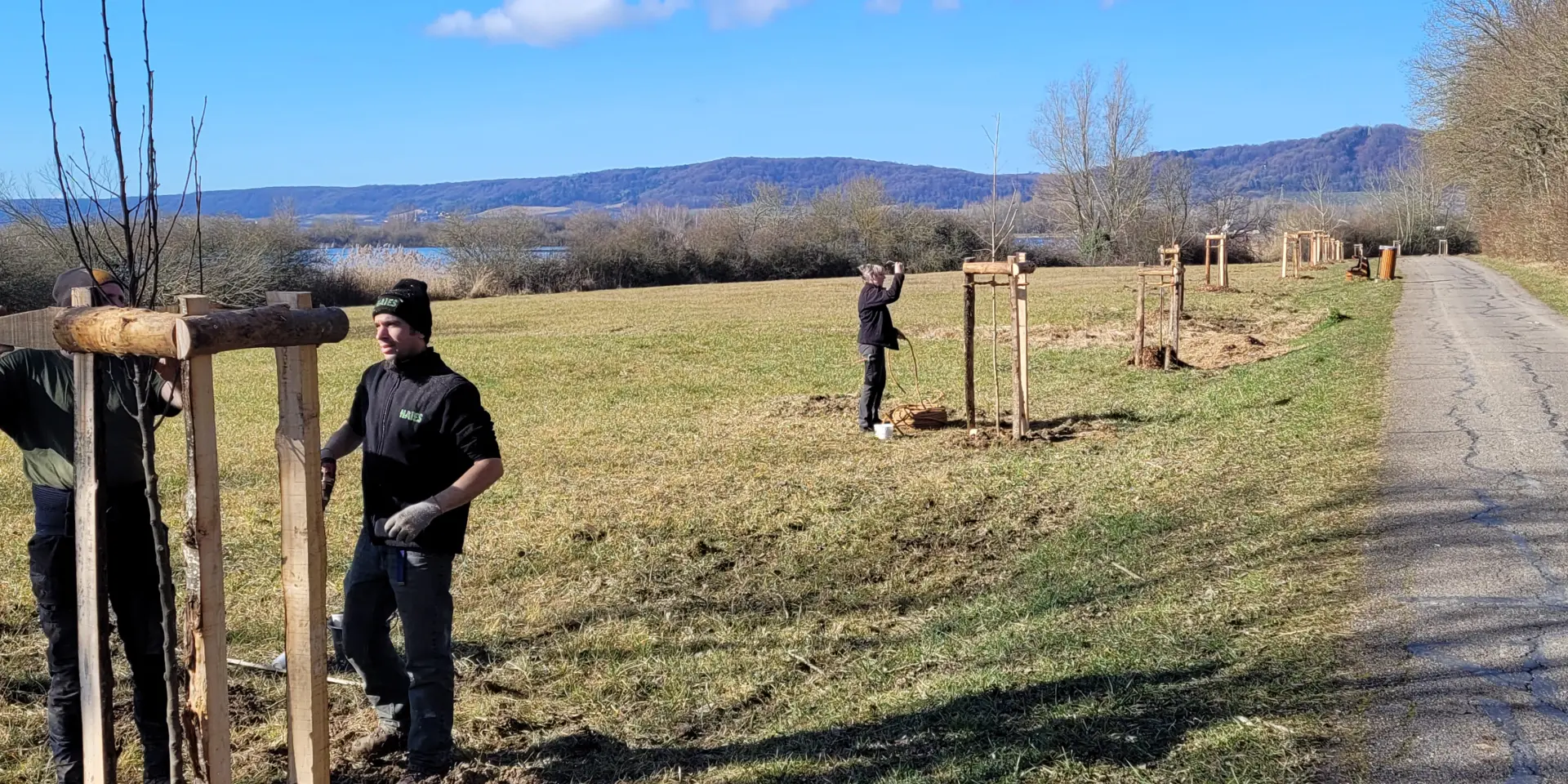 Chantier de plantation