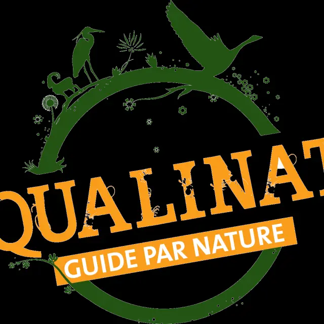 431847 15a2b151c63c6c555acd9090884319e2