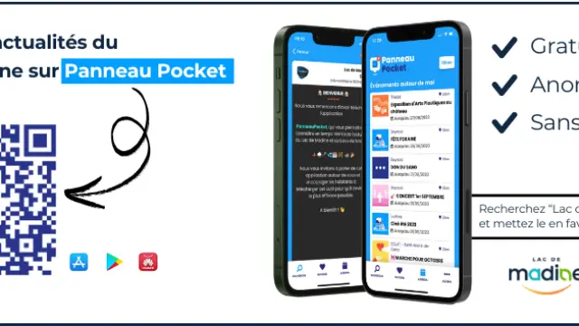 Bandeau Panneua Pocket