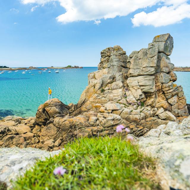 Rocher Du Voleur Penvenan