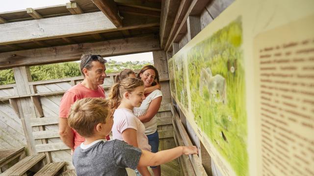 Balade en famille au Marais du Quellen