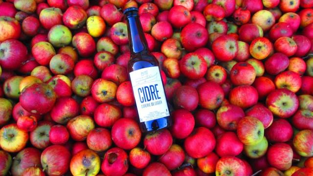 Cidrerie Du Léguer Bouteille Dans Les Pommes