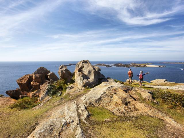 Ile Milliau en face du port de Trébeurden