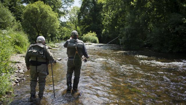 Pêche à la mouche sur le Léguer