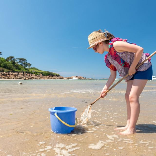 Pêche à pied à Trébeurden