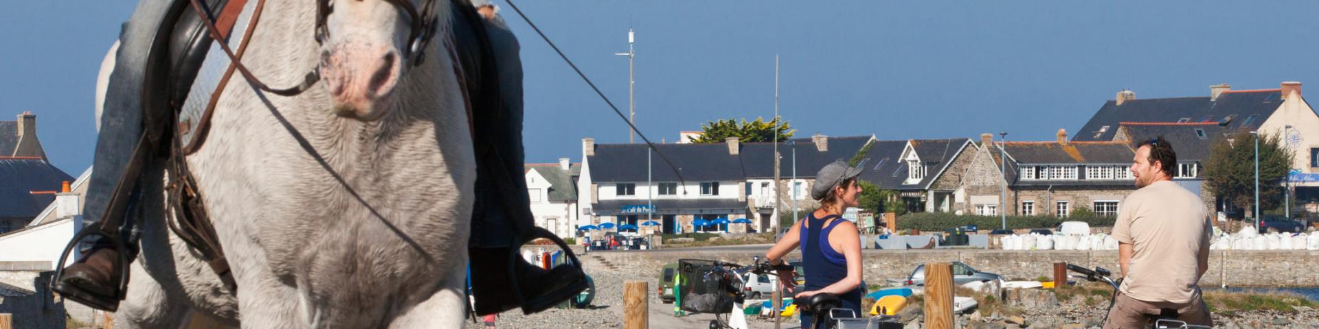 Balade à vélo