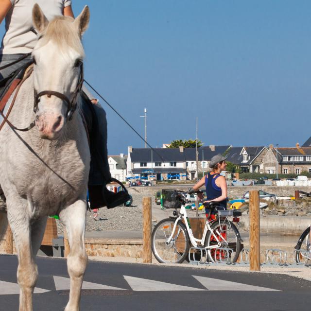 Balade à vélo