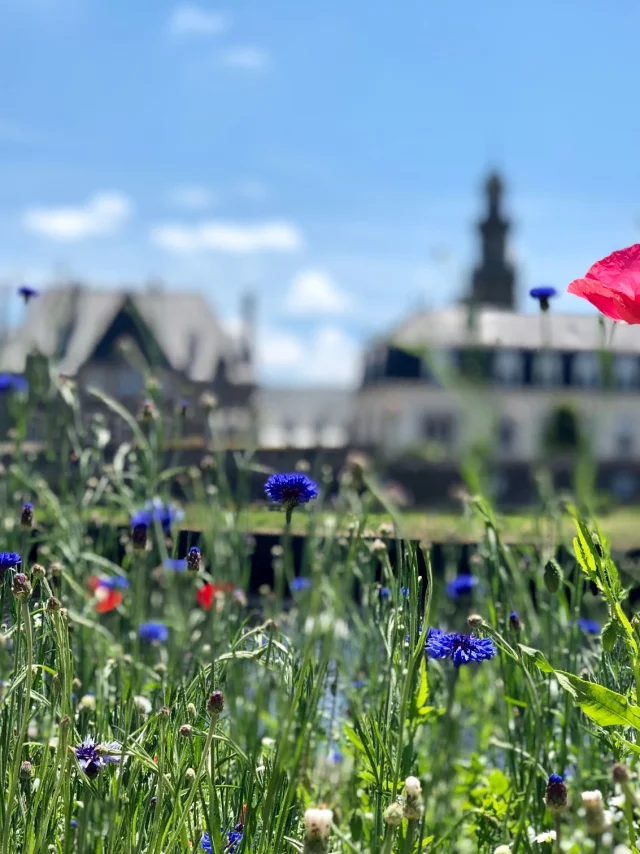 Lannion Quai D'aiguillon (2)
