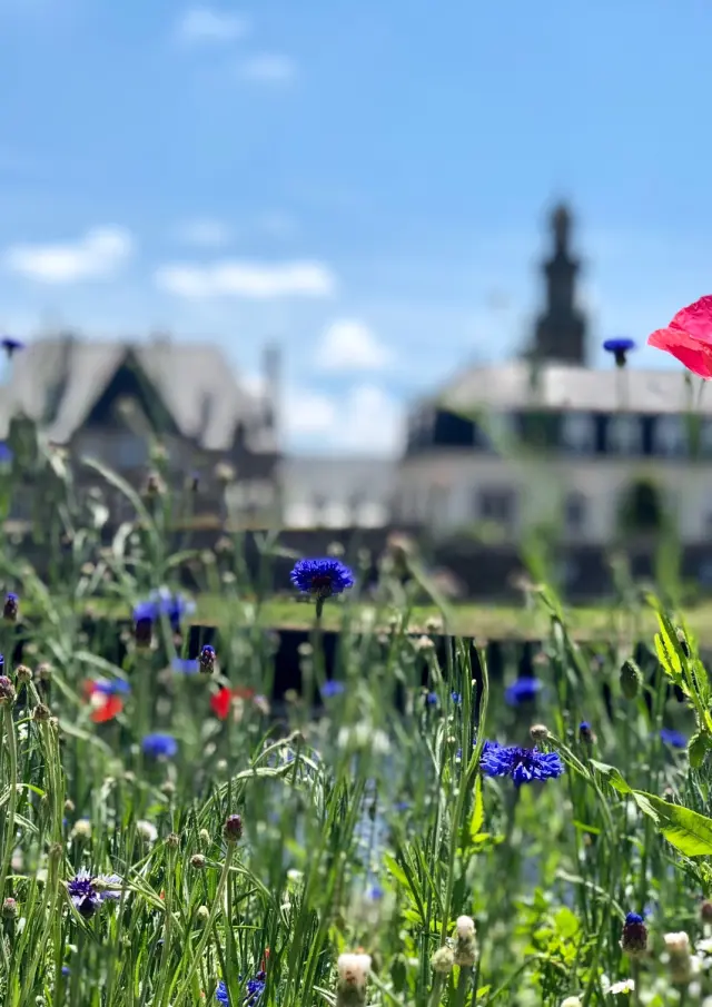 Lannion Quai D'aiguillon (2)