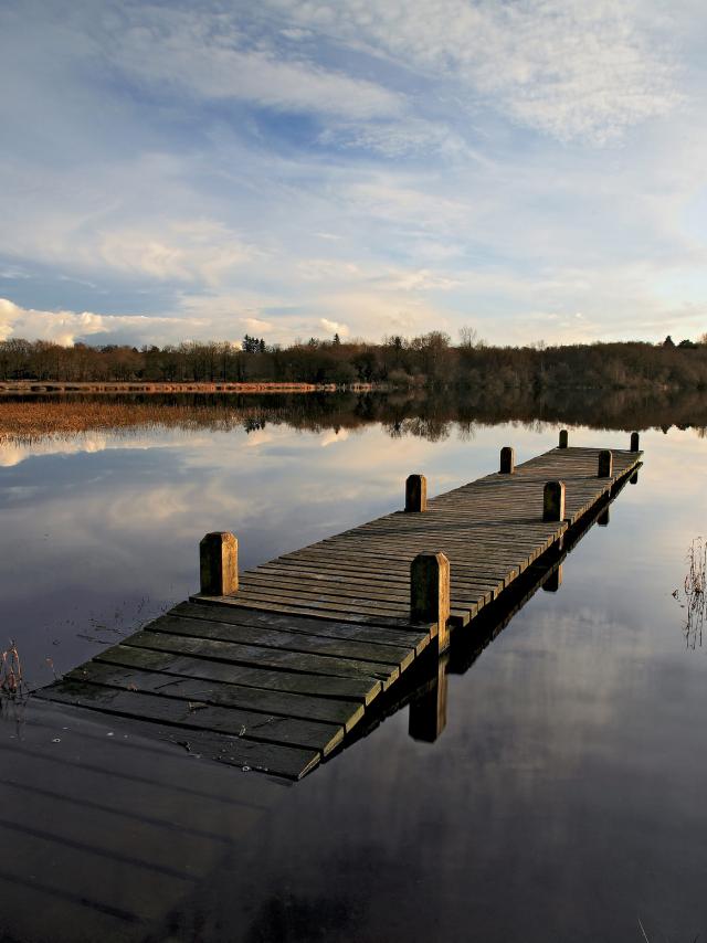 Etang du moulin neuf