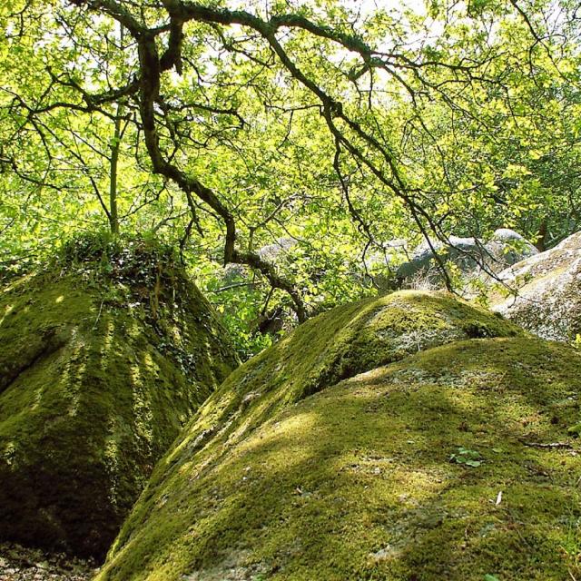 Vallée des Traouiéro à Trégastel