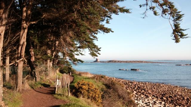 Ile Grande