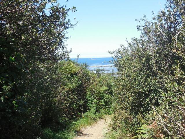 Chemin Port L'épine