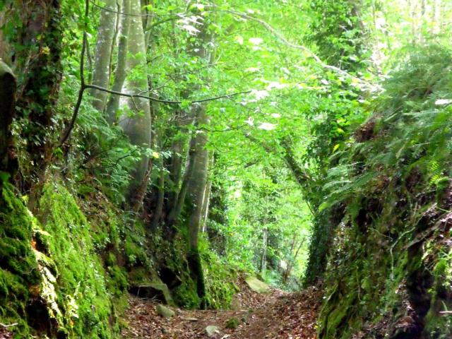 Plounerin Chemin Creux