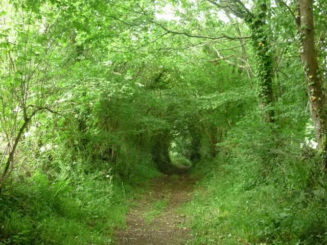 Plounevez Moëdec Chemin St Jeune