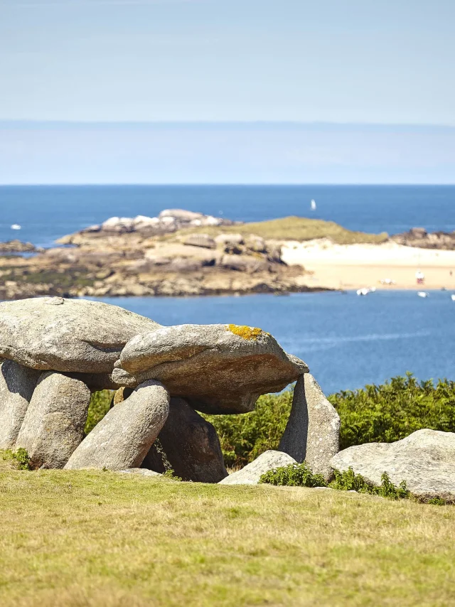 Allée couverte de l'île Milliau à Trébeurden