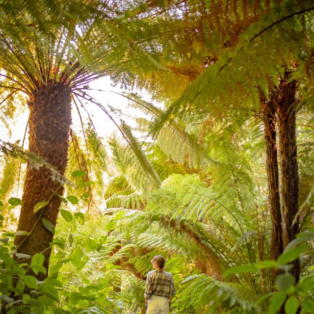 plouguiel-jardin-de-kestellic.jpg