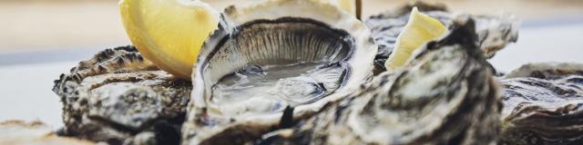 fruits-de-mer-4.jpg