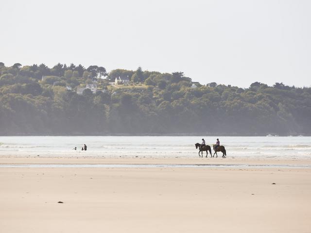 Balade équestre sur la Lieue de Grève