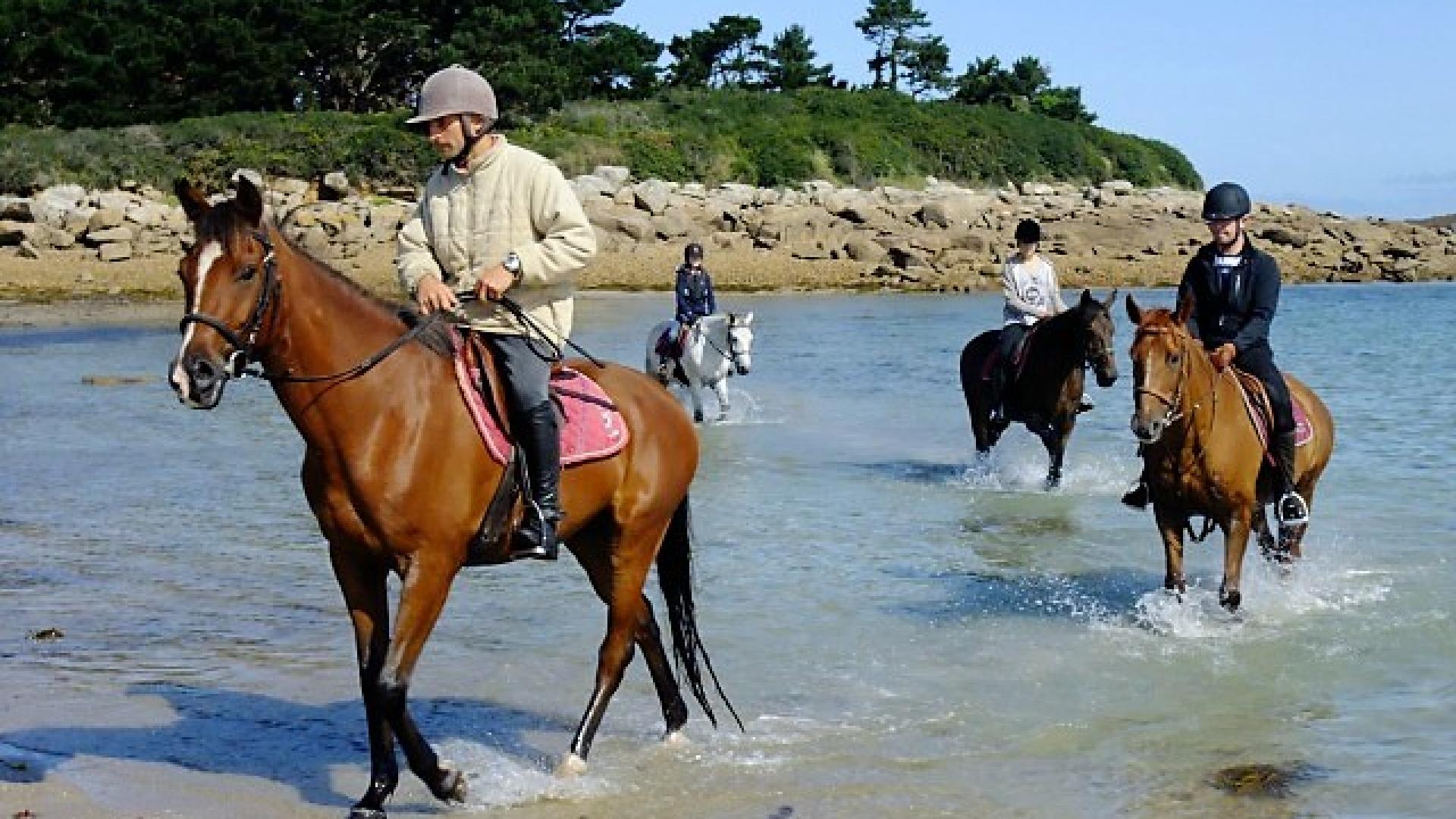 BANDES DE POLO - Equestrian Stockholm