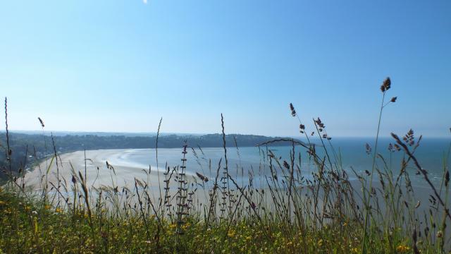 le-grand-rocher-plage-de-saint-efflam.jpg
