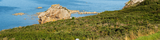 Appel à projet