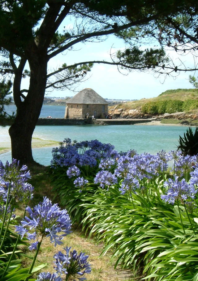 Bréhat Moulin De Birlot