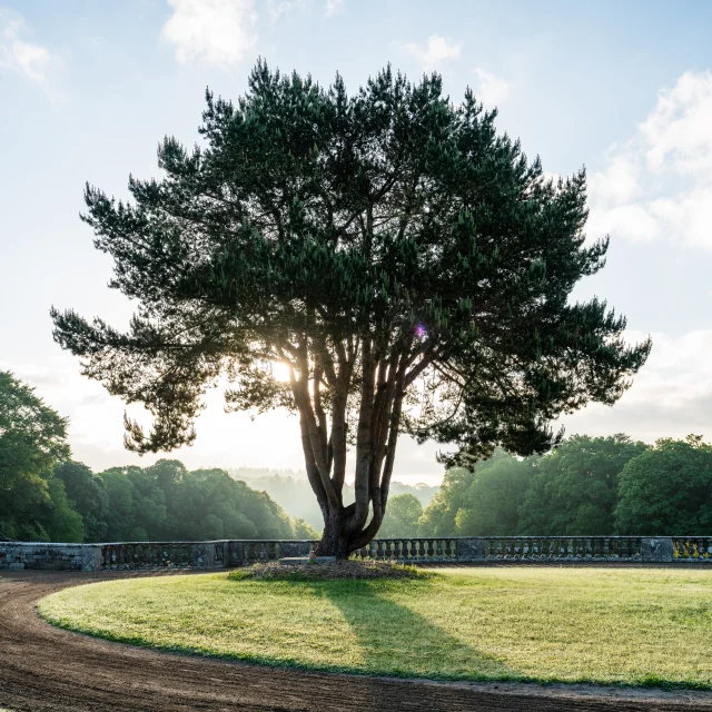 Château de Kergrist