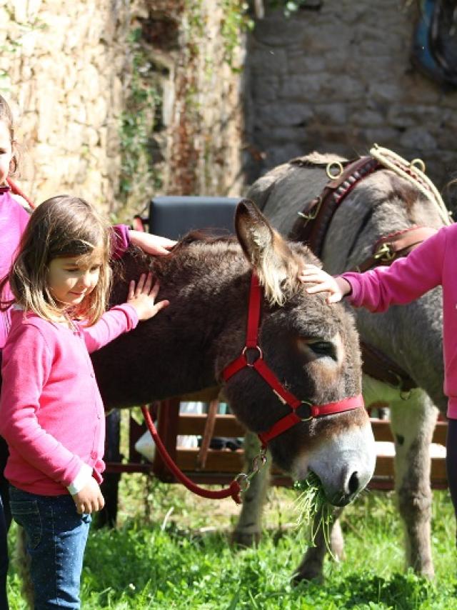 chasse-aux-couleurs-a-la-combe-aux-anes.jpg