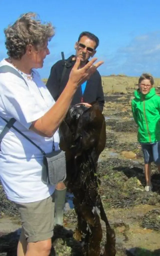 Atelier Terra Maris (2)