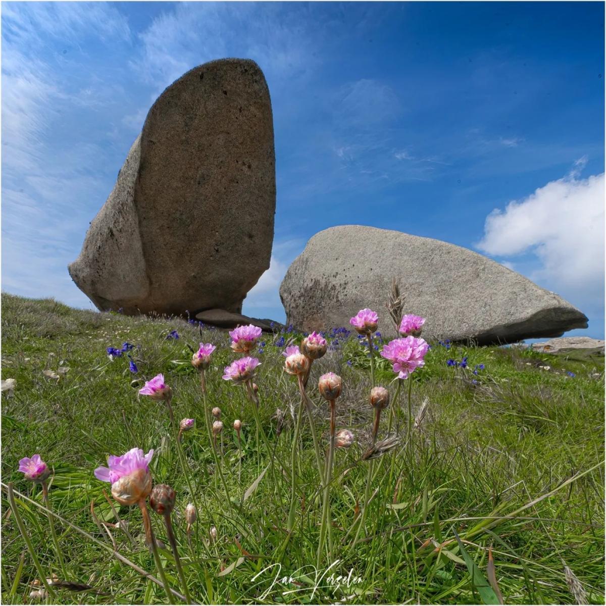 Office De Tourisme De La Côte De Granit Rose The 8 Most Beautiful ...